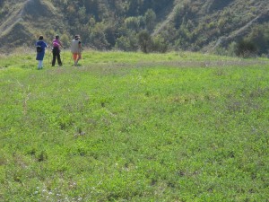 DSCN0561   