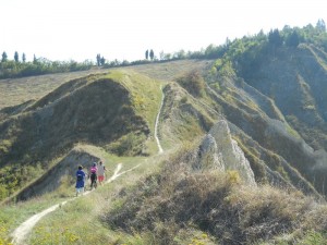 DSCN0564   
