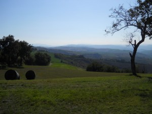 DSCN0566   