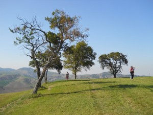 DSCN0568   