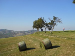 DSCN0569   