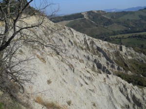 DSCN0572   