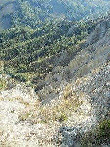 DSCN0577   