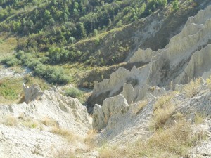 DSCN0579    