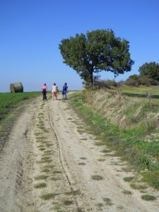 DSCN0585       