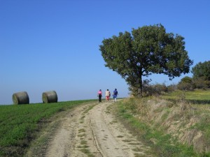 DSCN0586       