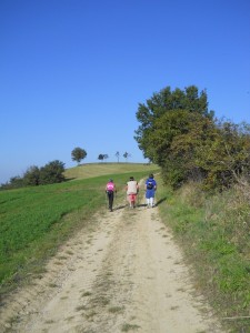 DSCN0587       