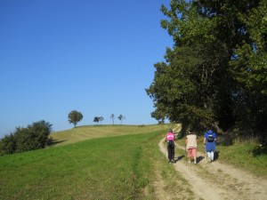 DSCN0588       