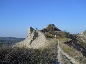 DSCN0593       