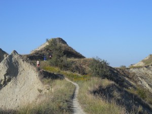 DSCN0594       