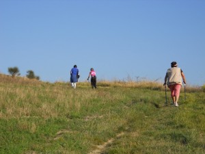 DSCN0599       
