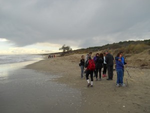DSCN0612   