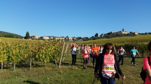 28.20141019_094513   