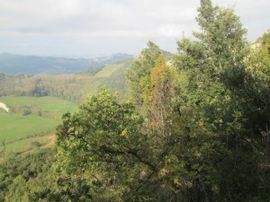 2014-10-26 09.47.55   
