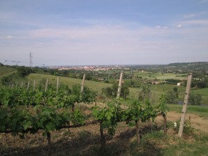 IMG_2141 