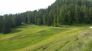 20150614_095328               