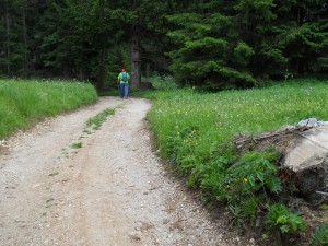 DSCN0781              