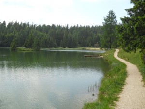 DSCN0788             