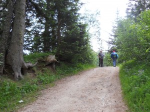 DSCN0794              