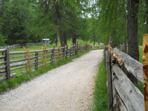DSCN0796              