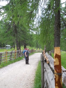 DSCN0797              