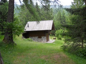 DSCN0800              