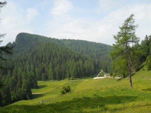 DSCN0805              