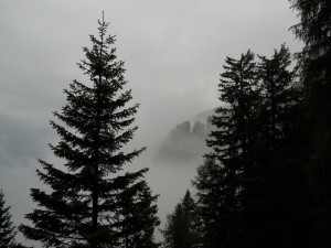 DSCN0807              