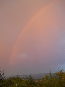 DSCN0813              