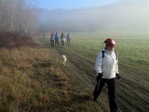 IMG_1798   