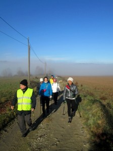 IMG_1800   