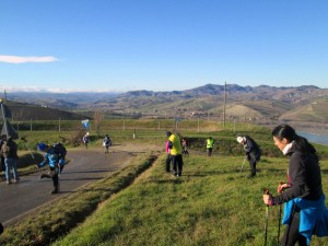 IMG_1804   