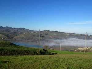 IMG_1807   