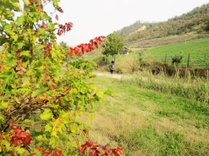 IMG_3206 