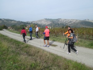 IMG_3208 