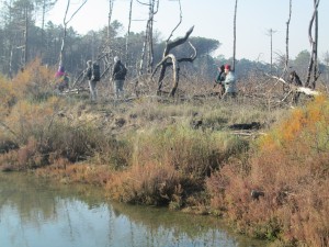 IMG_3426