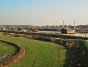 IMG_3446 