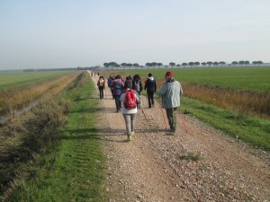 IMG_3454 