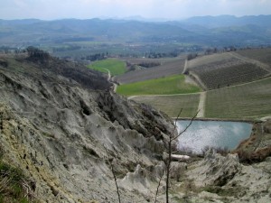 IMG_2043 