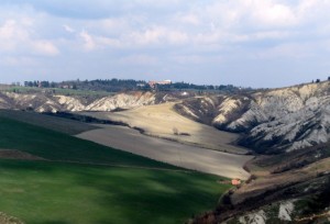 IMG_2046 