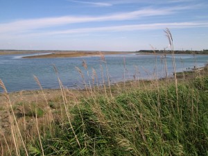 07-IMG_2090  