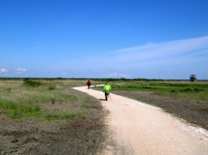 08-IMG_2091  