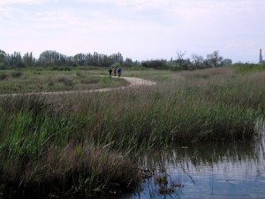 09-IMG_2092  