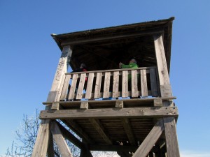 10-IMG_2093  