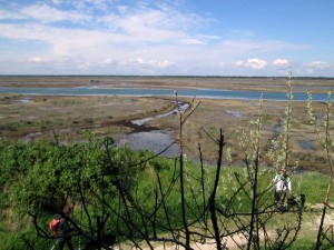 11-IMG_2094  