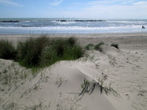 26-IMG_2109  