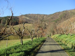 IMG_0104 