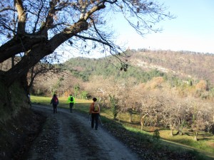 IMG_0111 
