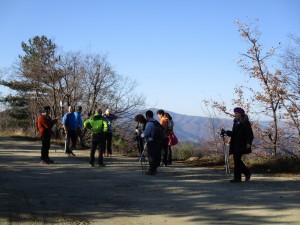 IMG_0117 