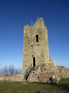 IMG_0129     